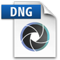 Digital Negative Image File Icon