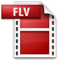 Flash Video File Icon